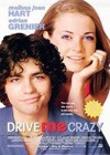 Drive Me Crazy (1999).jpg